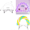 S46d4be178f414d1f83cb449d69e4bca1j Kit de Cadre en Arc de Ballons de Réglable